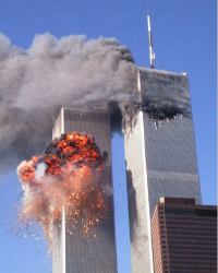 WTC disaster